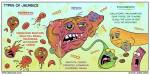 Liver Jaundice Types